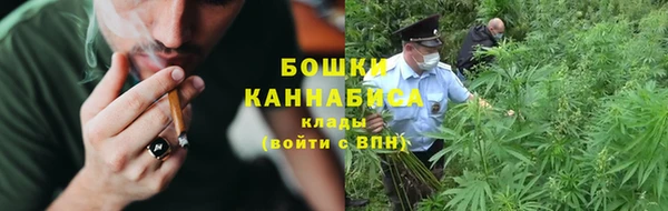 сатива Надым