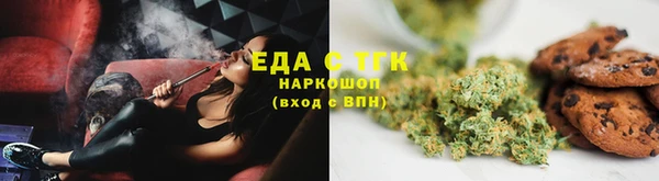 индика Вязники