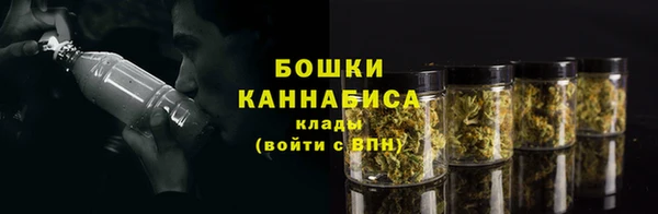 индика Вязники