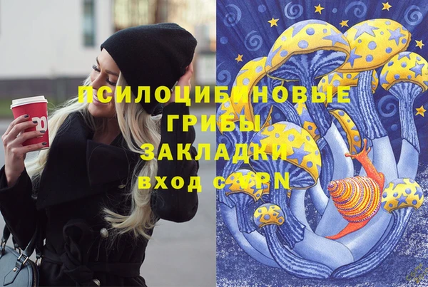 Альфа ПВП Навашино