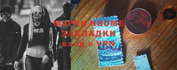 сатива Надым