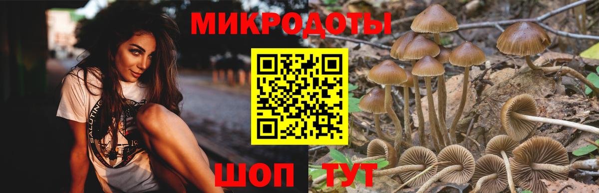 Галлюциногенные грибы мухоморы  Вход с VPN  Карпинск  Галлюциногенные грибы ЛСД 